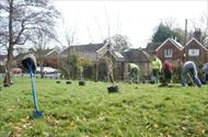 Isle of Wight Orchard project